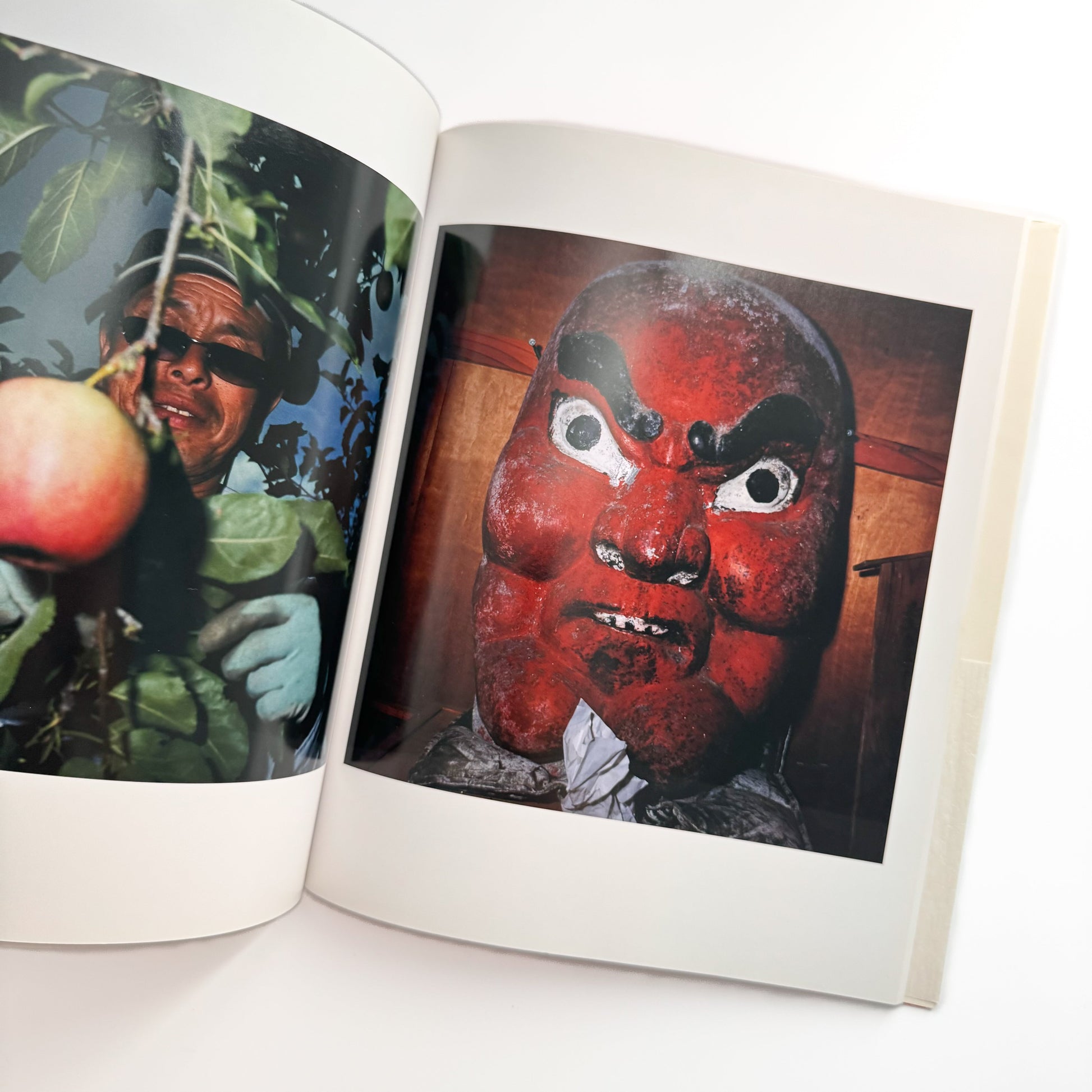 田附勝　東北  Tohoku 2006-2011 リトル・モア