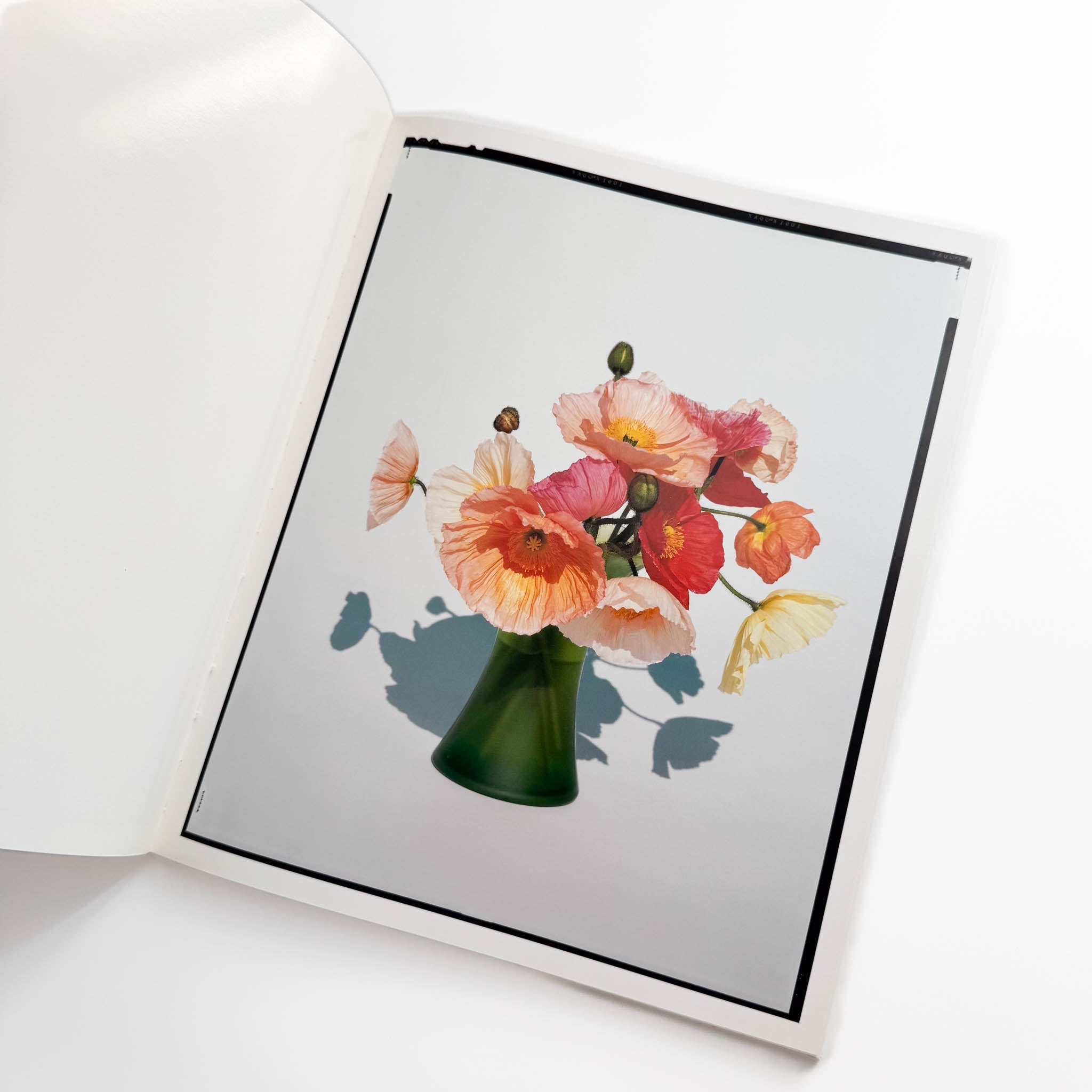 注目！希少[写真集] 光琳社 FLOWERS 上田義彦写真集 上田義彦写真集 FLOWERS – 文福