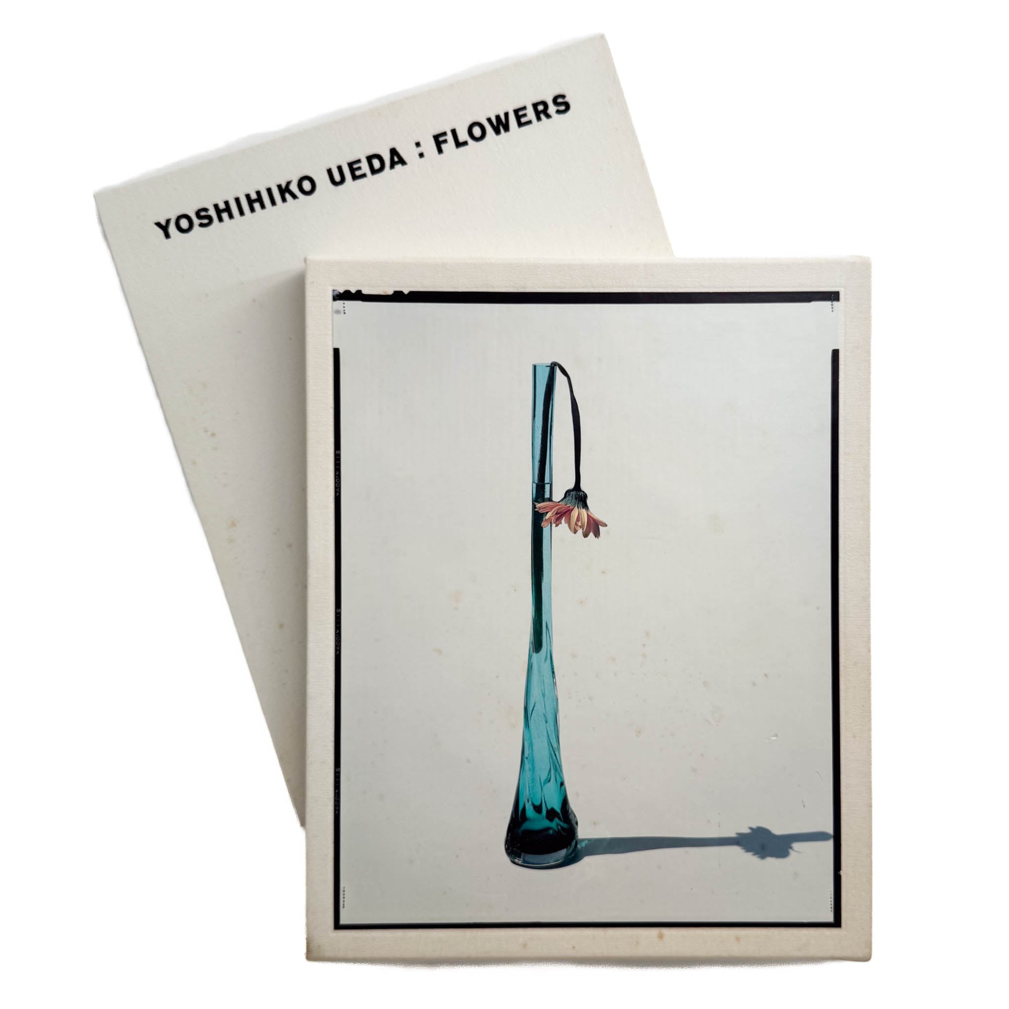 上田義彦写真集 FLOWERS – 文福