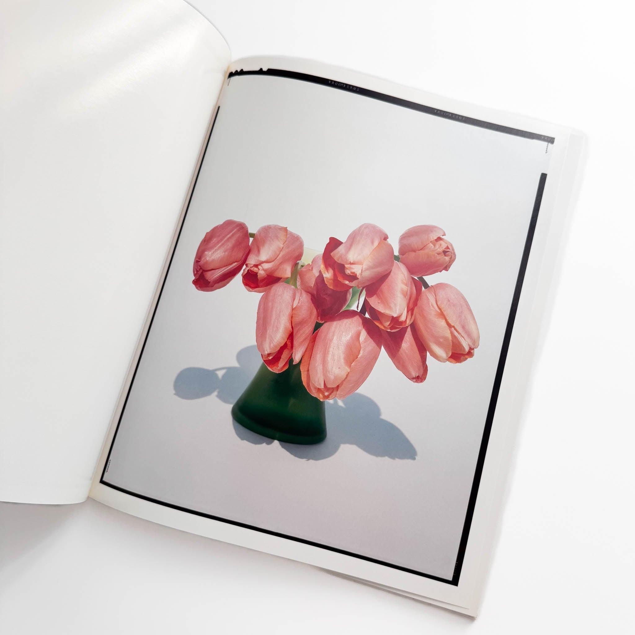 上田義彦　flowers 上田義彦写真集 FLOWERS – 文福