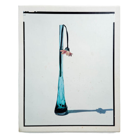 上田義彦　FLOWERS 光琳社出版