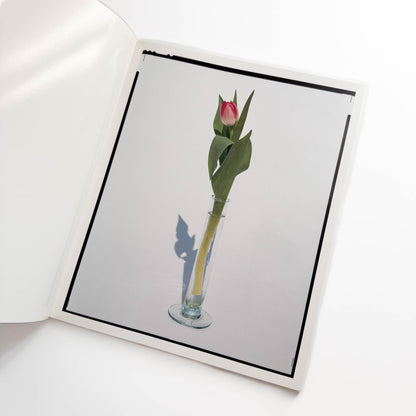 上田義彦　FLOWERS - 光琳社出版 - 文福