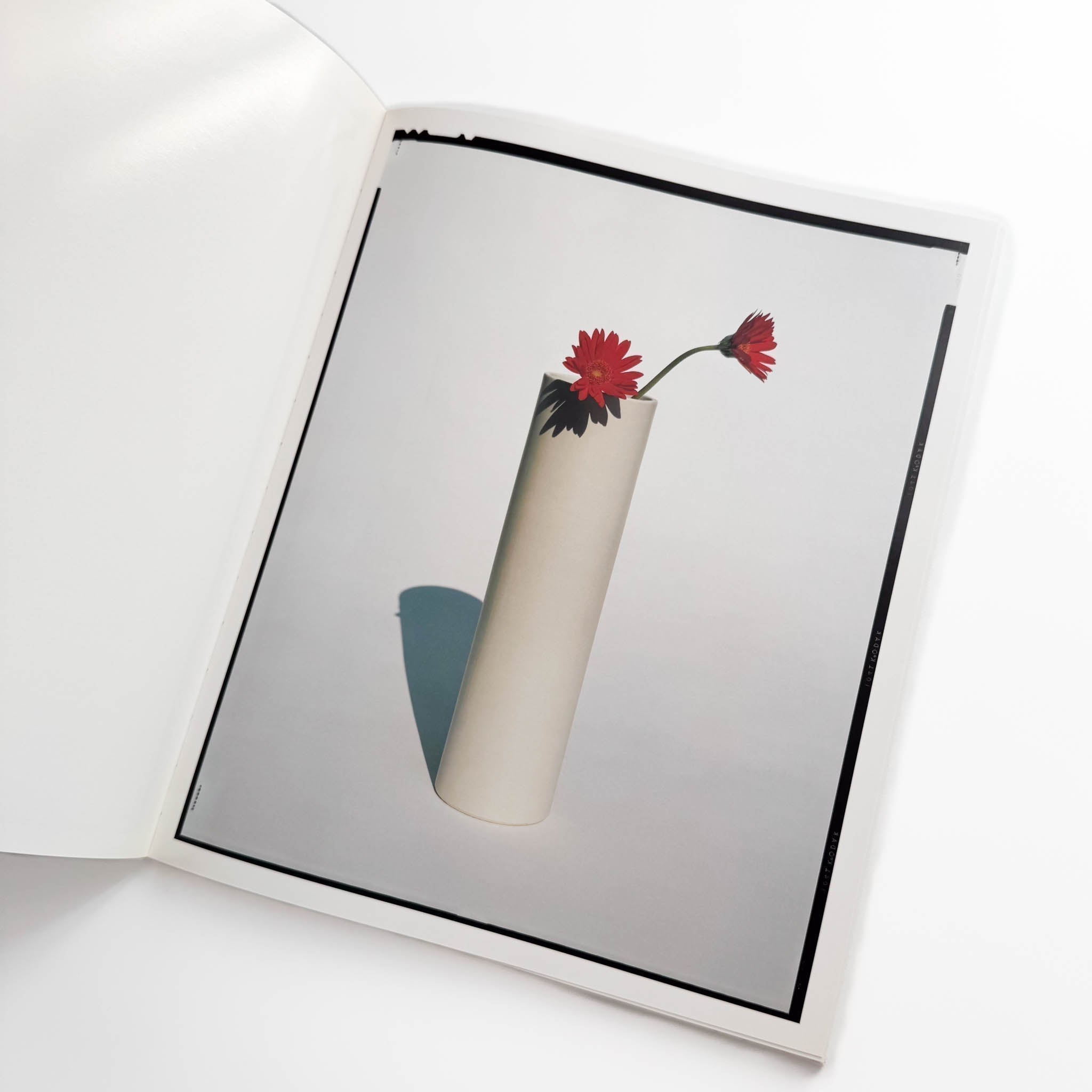 上田義彦写真集「Flowers」 伊藤俊治 光琳社 1997年初版 上田義彦写真集 FLOWERS / 光琳社出版 – 文福