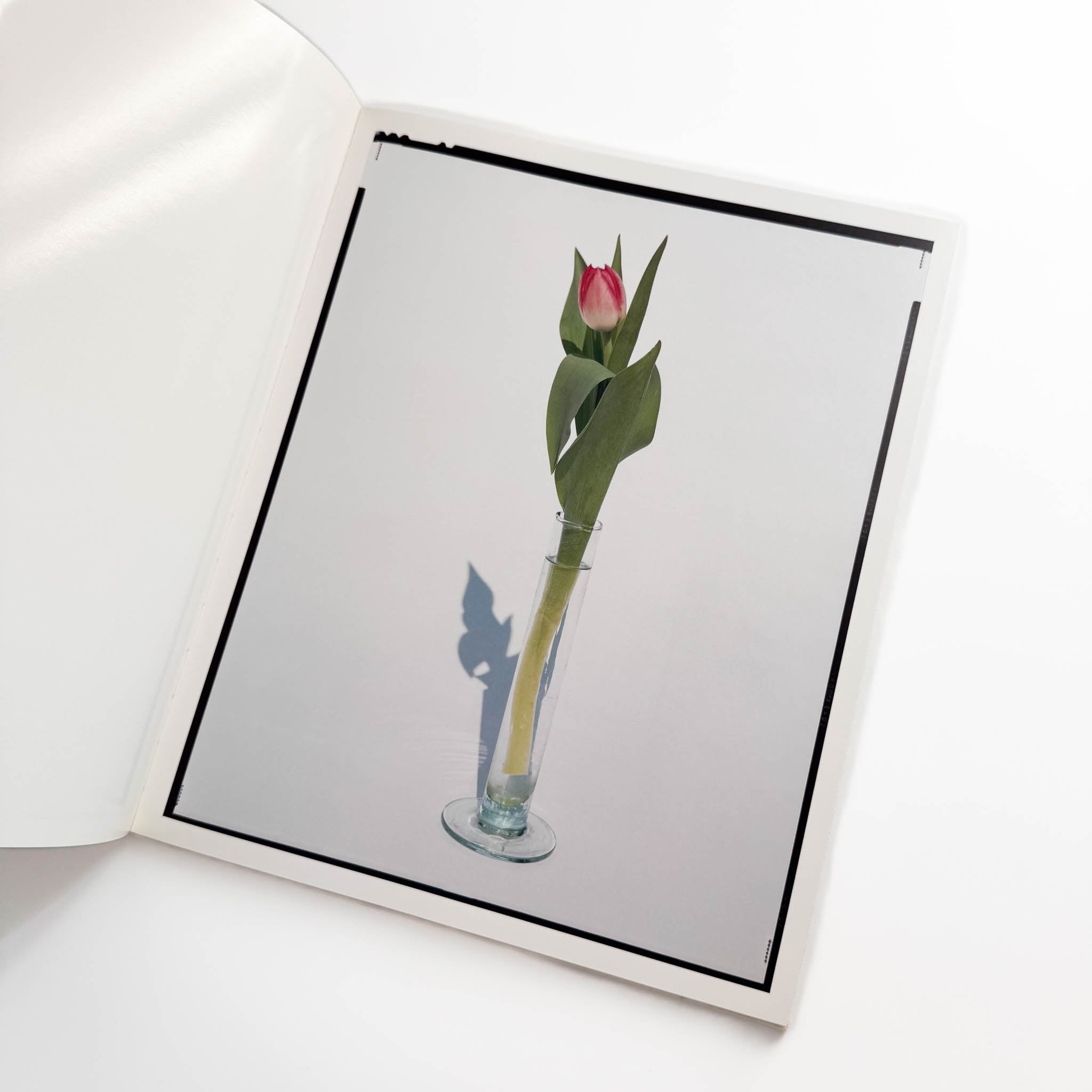 上田義彦写真集 FLOWERS – 文福