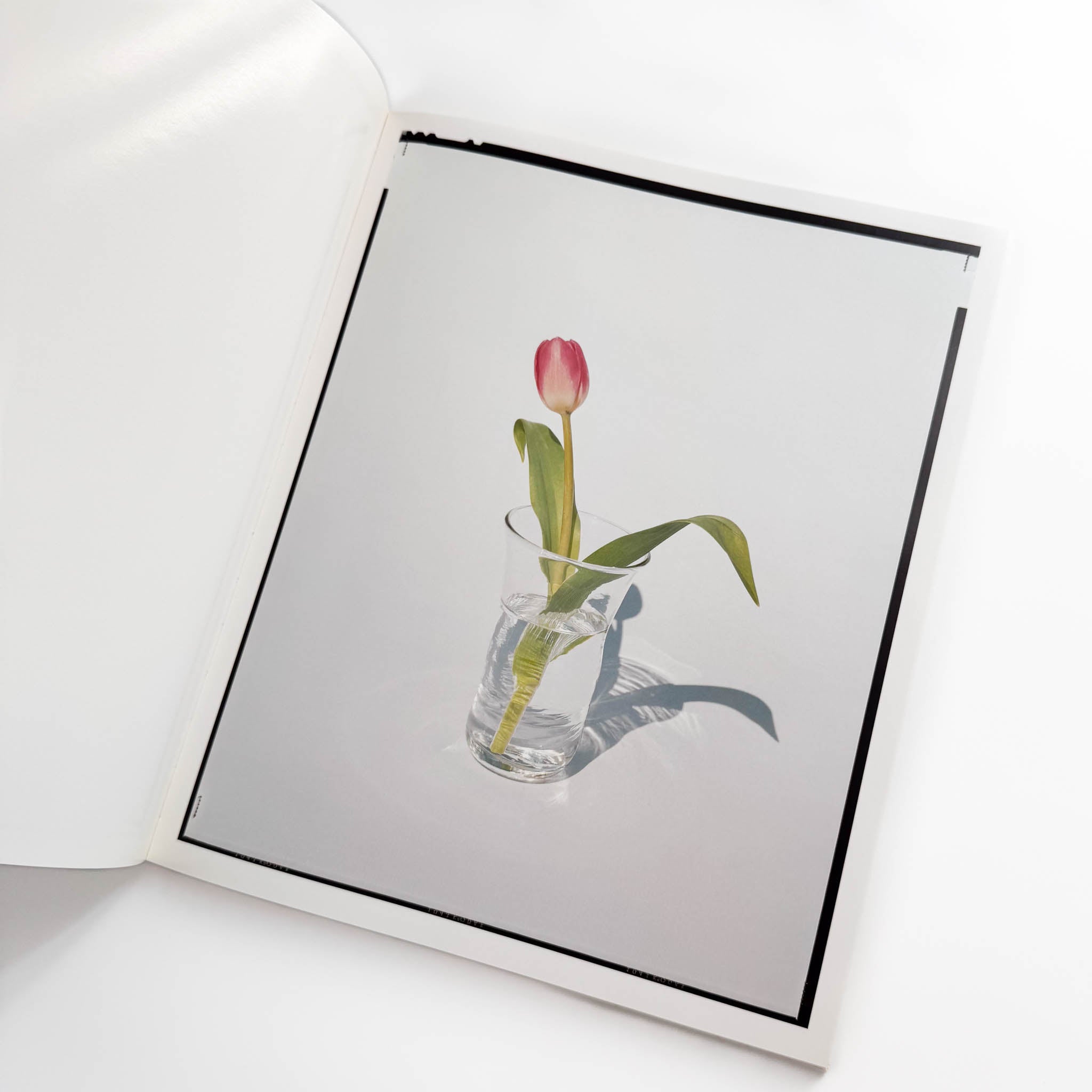 上田義彦写真集 FLOWERS – 文福