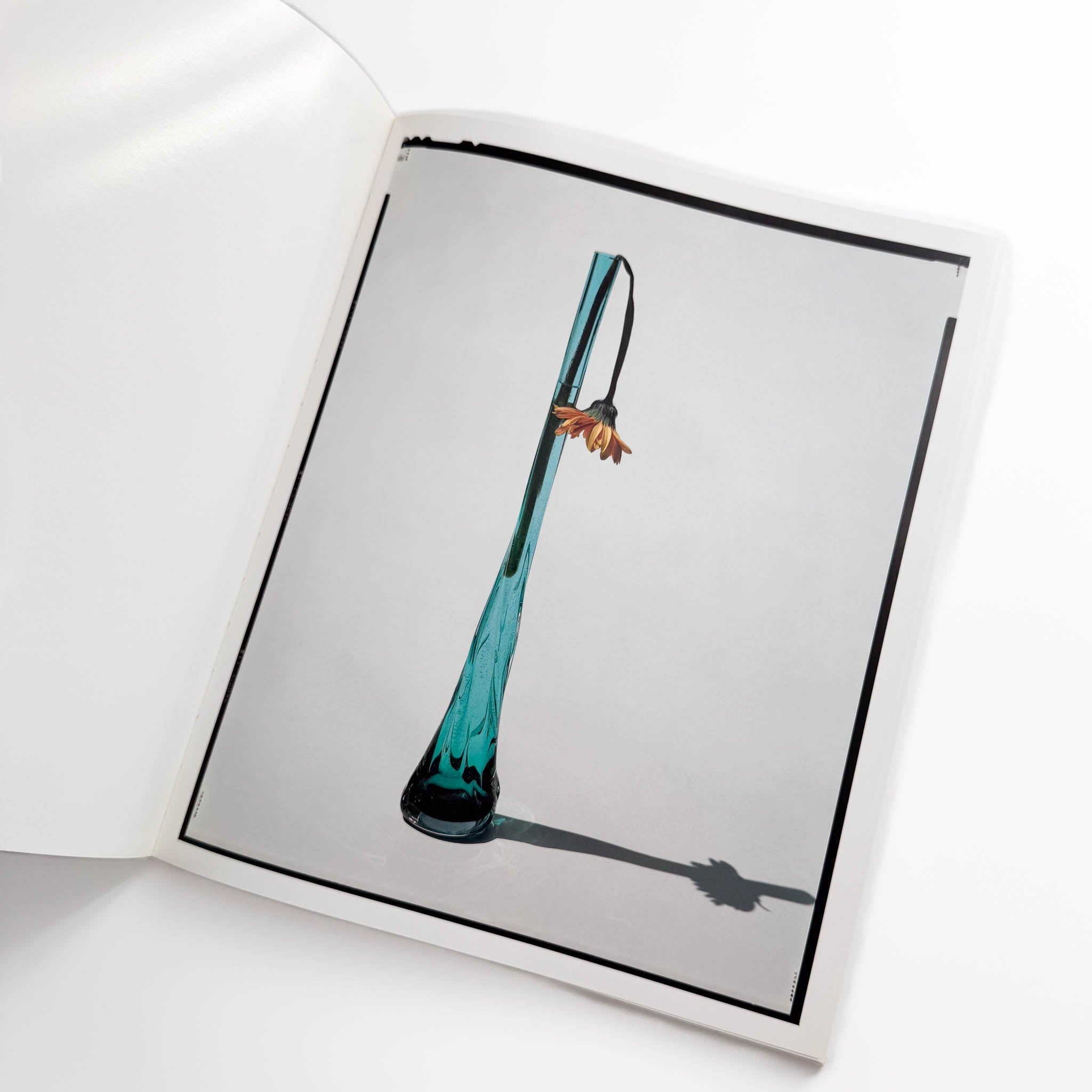 注目！希少[写真集] 光琳社 FLOWERS 上田義彦写真集 上田義彦写真集 FLOWERS – 文福