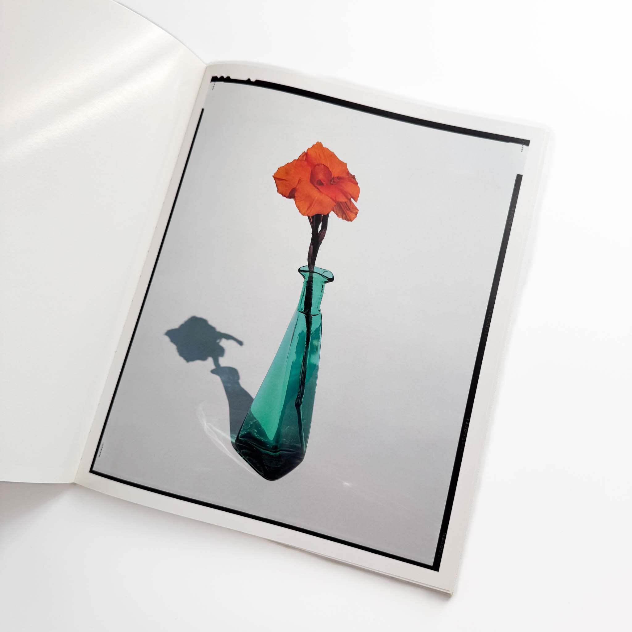 上田義彦写真集 FLOWERS – 文福