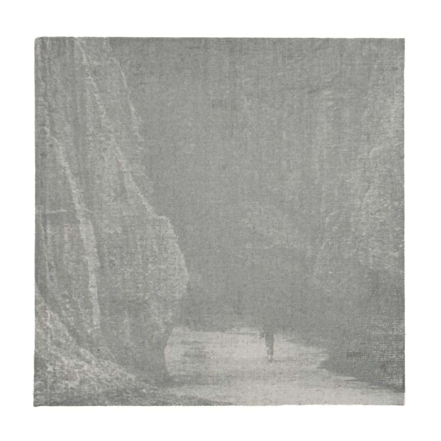 柳沢信　Untitled - roshin books - 文福