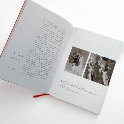 ヴォルス一路上から宇宙へ  WOLS — From the Street to the Cosmos 左右社