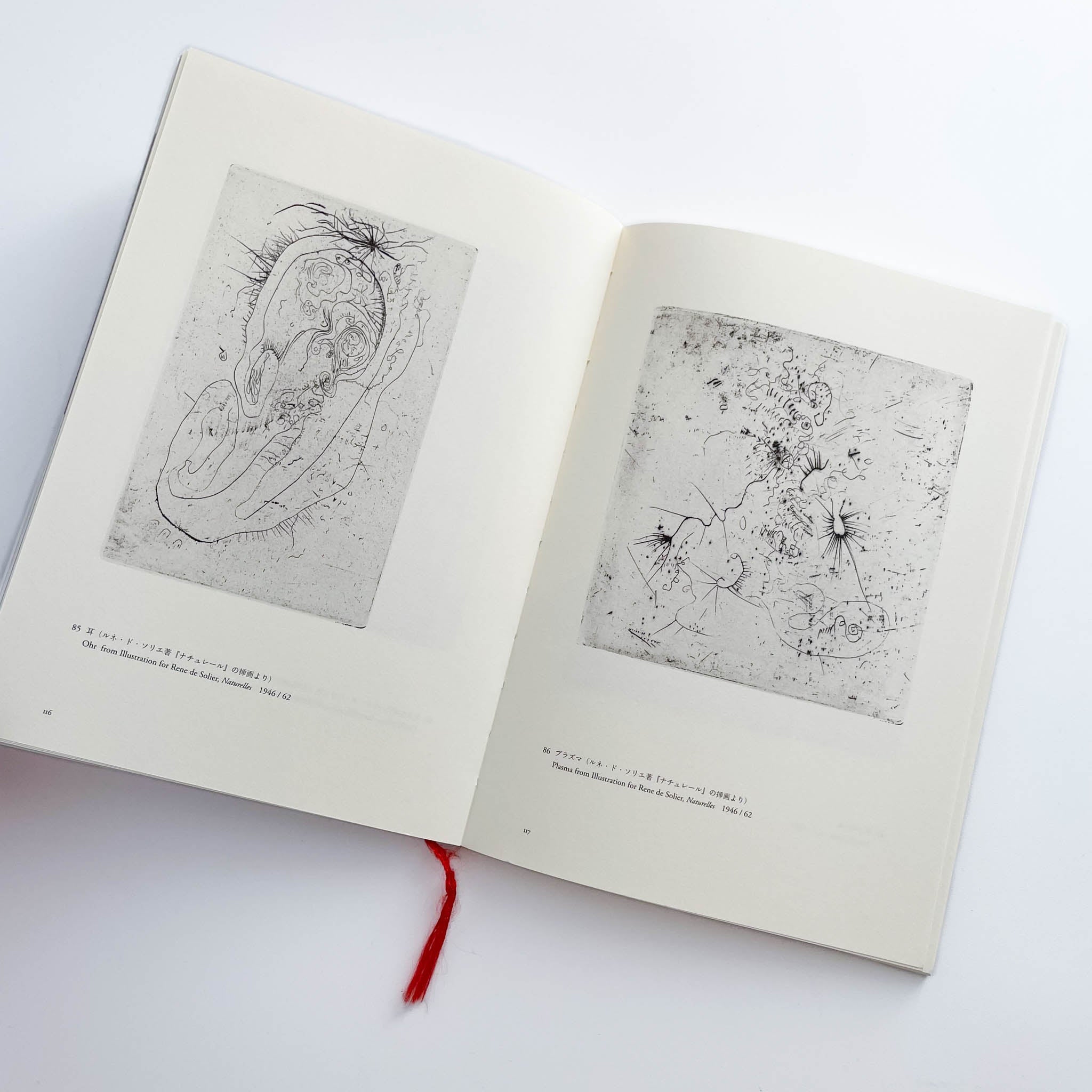 WOLS ヴォルス　路上から宇宙へ　川村記念美術館図録 ヴォルス一路上から宇宙へ / WOLS — From the Street to the Cosmos – 文福