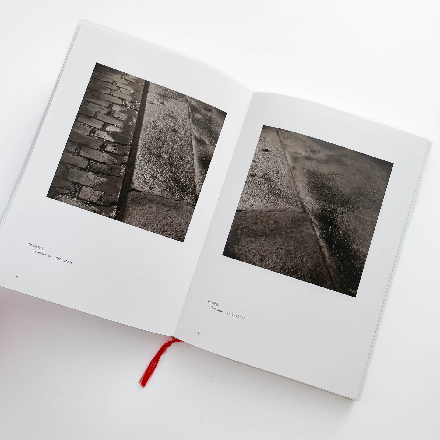 ヴォルス一路上から宇宙へ  WOLS — From the Street to the Cosmos 左右社