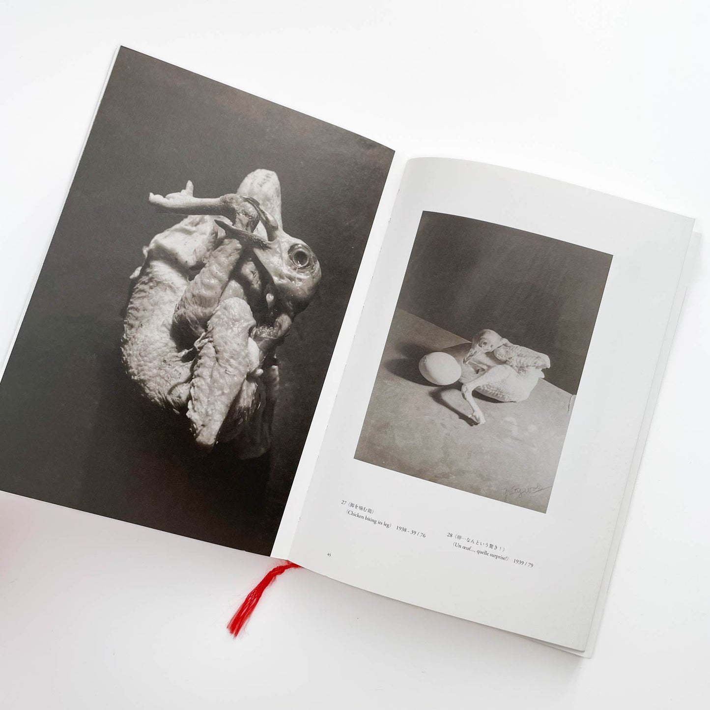 ヴォルス一路上から宇宙へ  WOLS — From the Street to the Cosmos 左右社