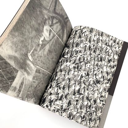 岩合徳光　交尾 ノーベル書房