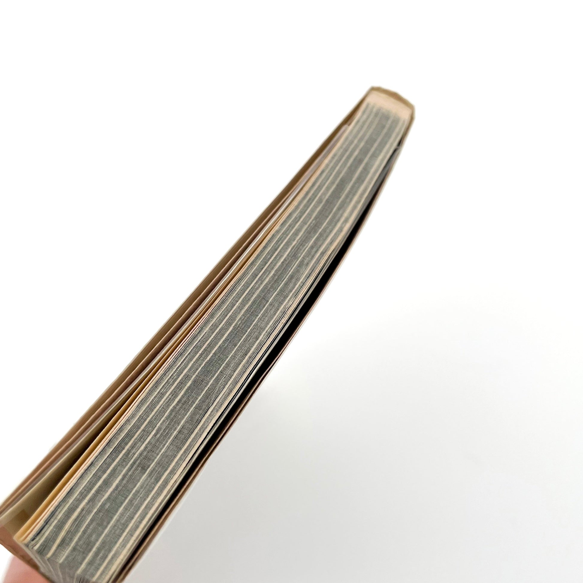 渡辺克巳　新宿群盗伝伝 晩聲社