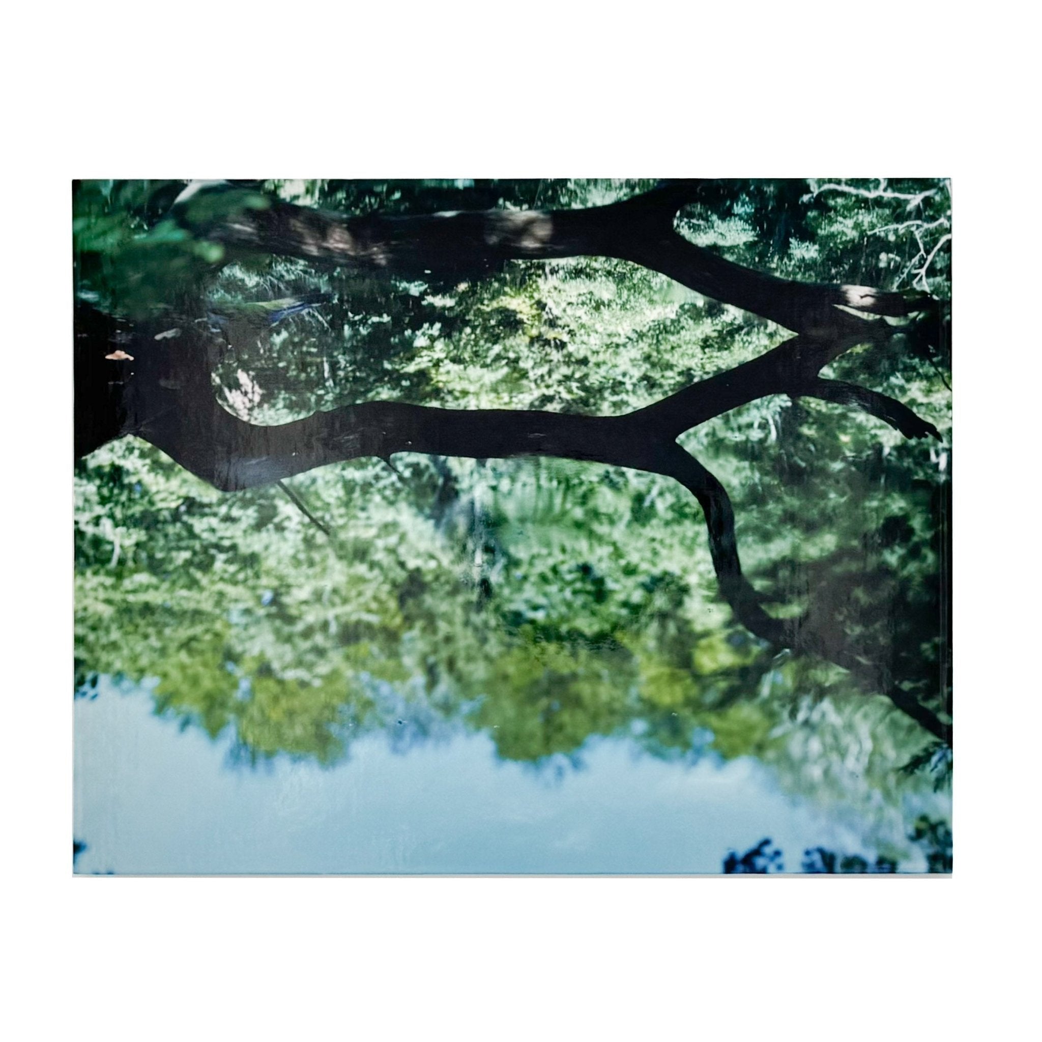 鈴木理策　写真集　Water Mirror 水鏡 鈴木理策写真集 Water Mirror – 文福