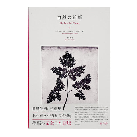 自然の鉛筆