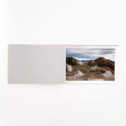 畠山直哉　A BIRD, BLAST #130 Taka Isii Gallery