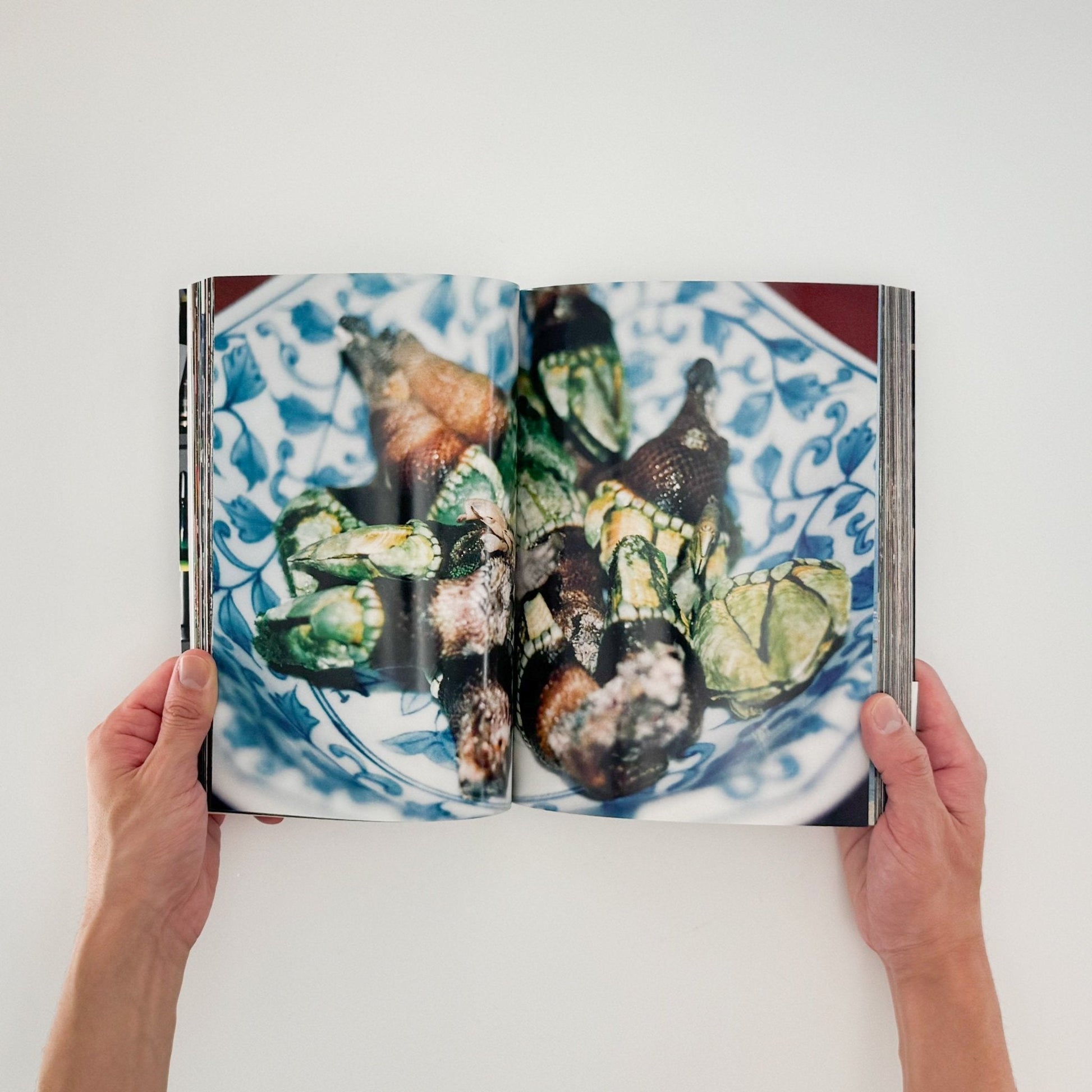 山田なおこ　スナック - リトルモア - 文福