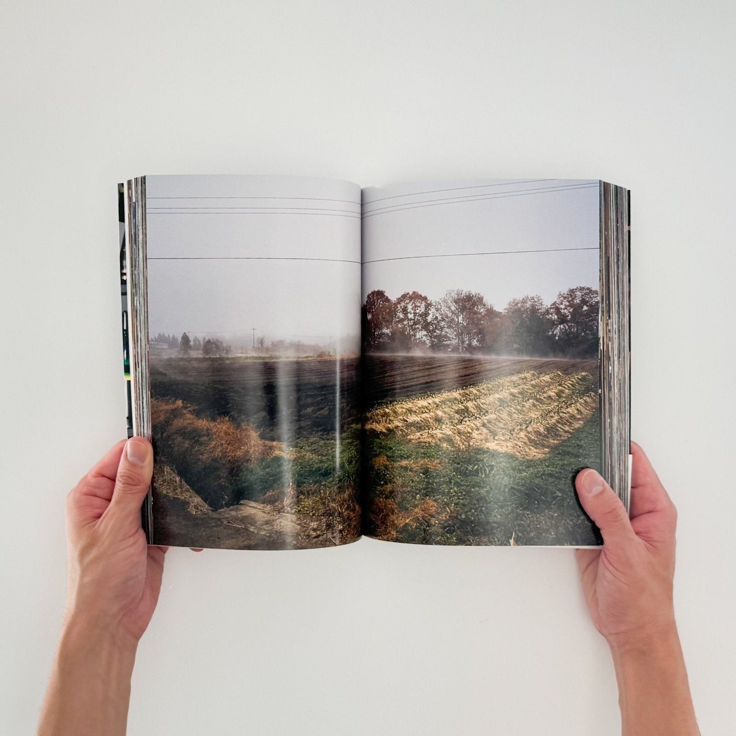 山田なおこ　スナック - リトルモア - 文福