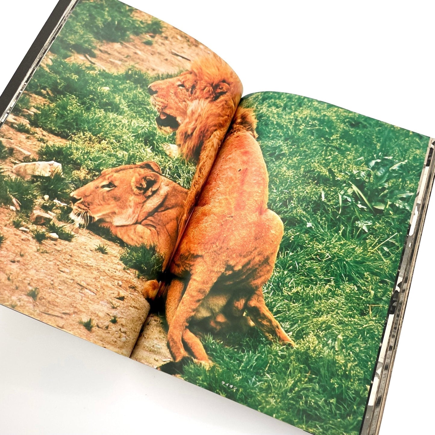 岩合徳光　交尾 - ノーベル書房 - 文福