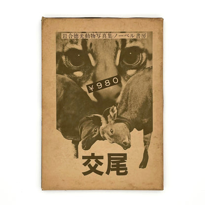 岩合徳光　交尾 ノーベル書房