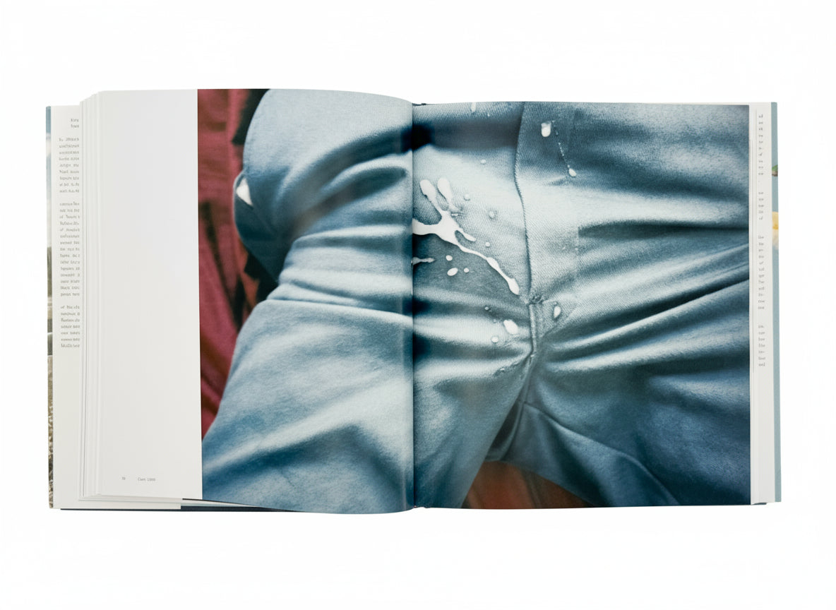 (英文)RYAN MCGINLEY (ライアン・マッギンレー)　Whistle for the Wind Rizzoli