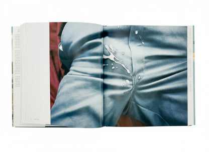 (英文)RYAN MCGINLEY (ライアン・マッギンレー)　Whistle for the Wind Rizzoli