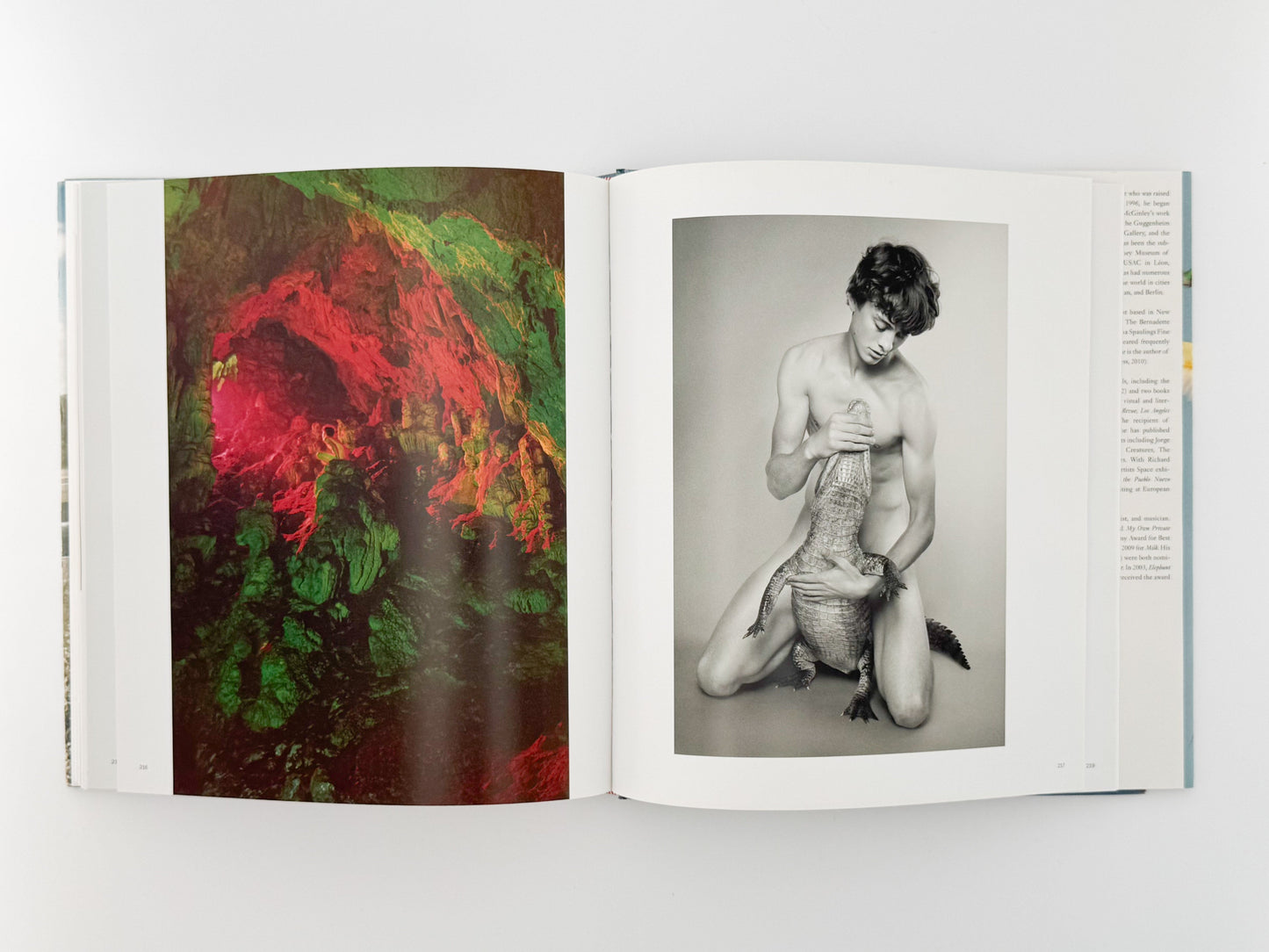 (英文)RYAN MCGINLEY (ライアン・マッギンレー)　Whistle for the Wind Rizzoli