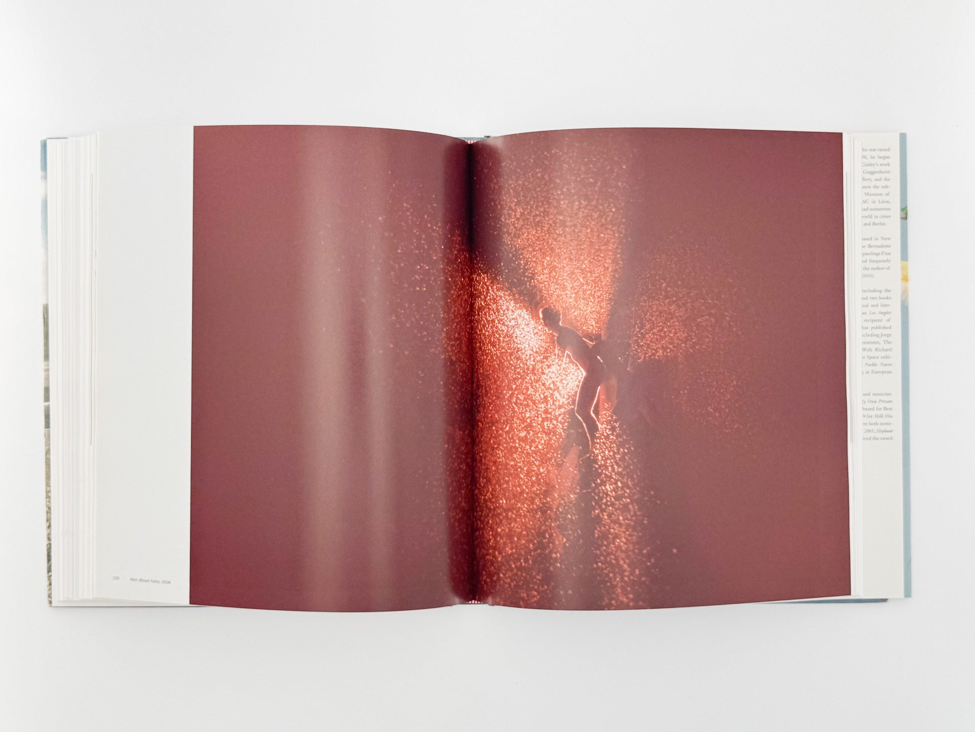 (英文)RYAN MCGINLEY (ライアン・マッギンレー)　Whistle for the Wind Rizzoli