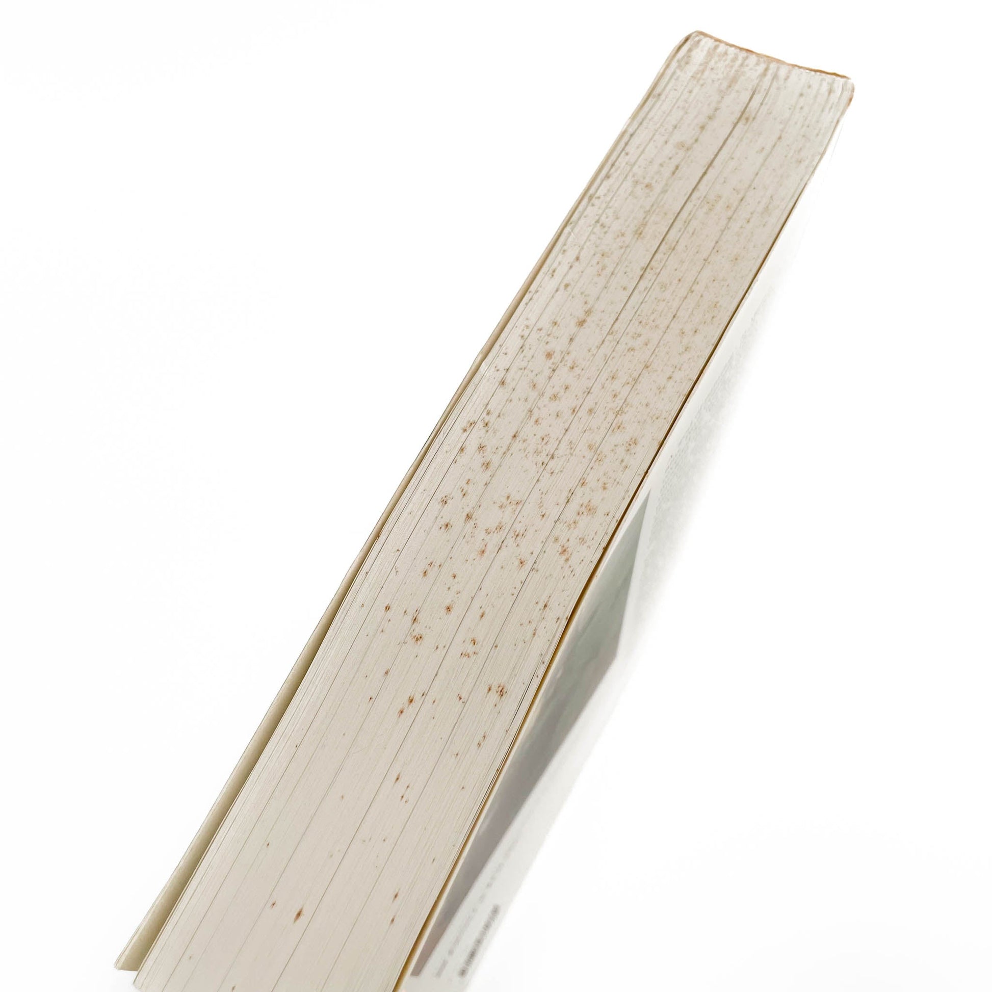 (英文)セザンヌ展画集　Cezanne Philadelphia Museum of Art