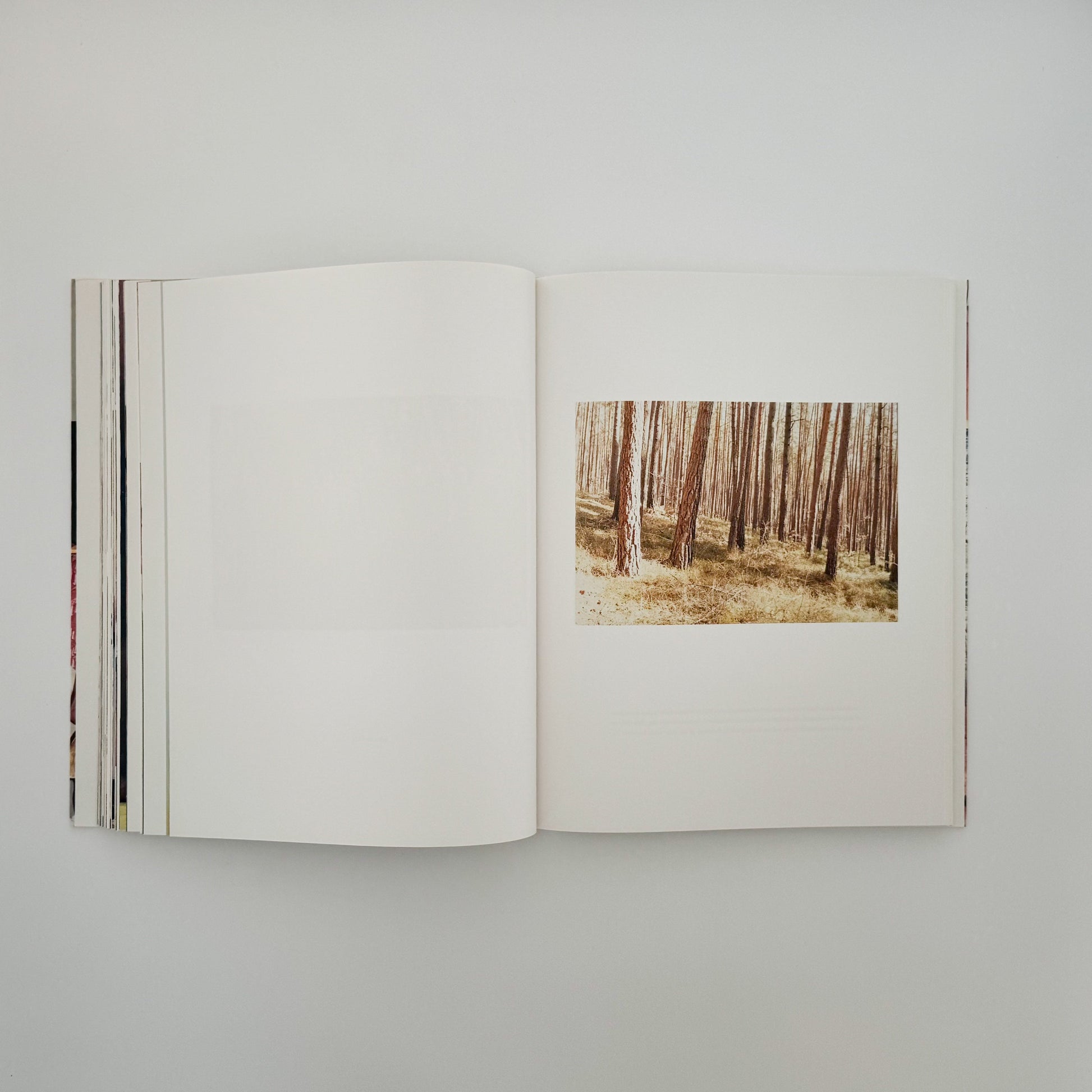 (英文) ユルゲン・テラー Juergen TELLER　Woo! Steidl