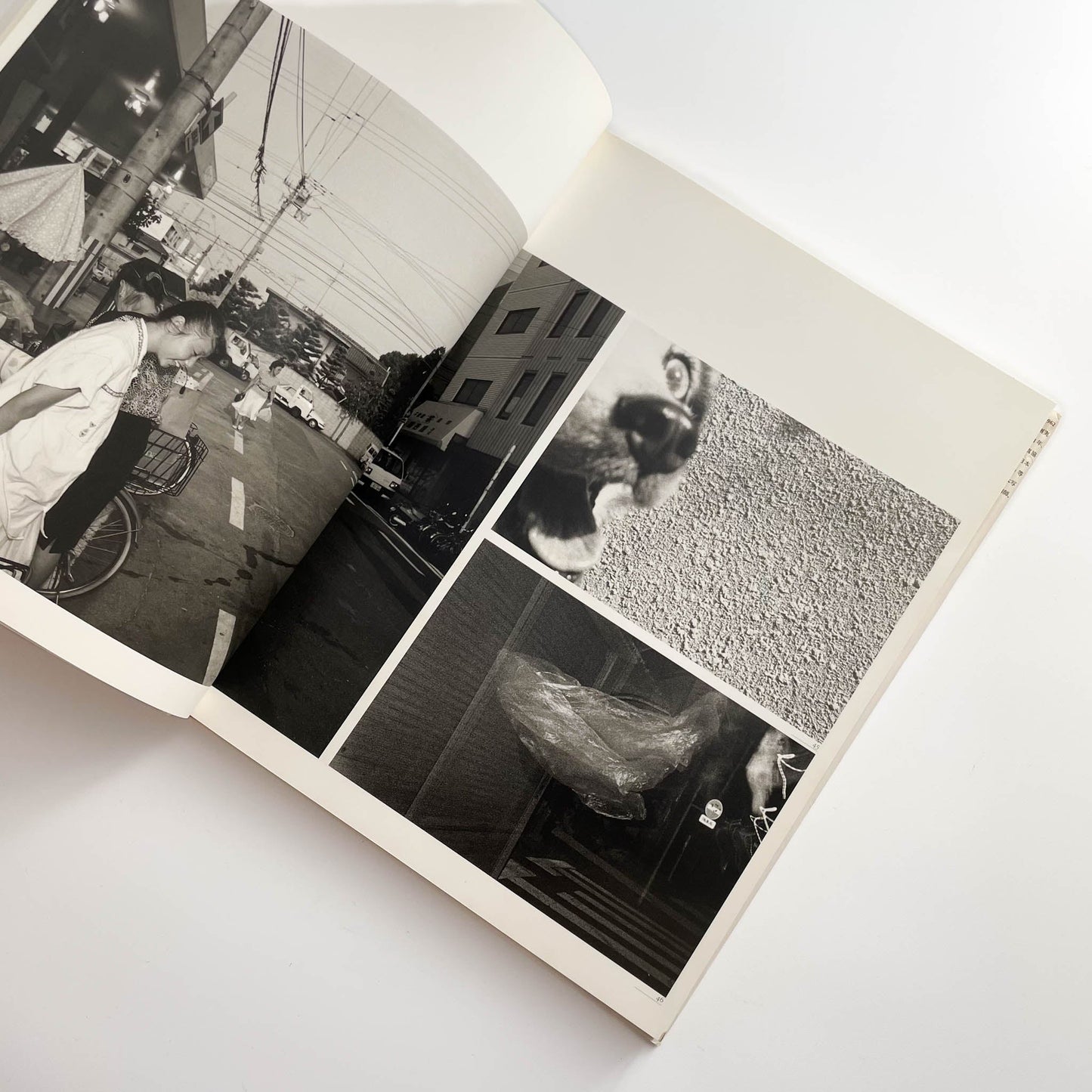 須田一政　人間の記憶 クレオ