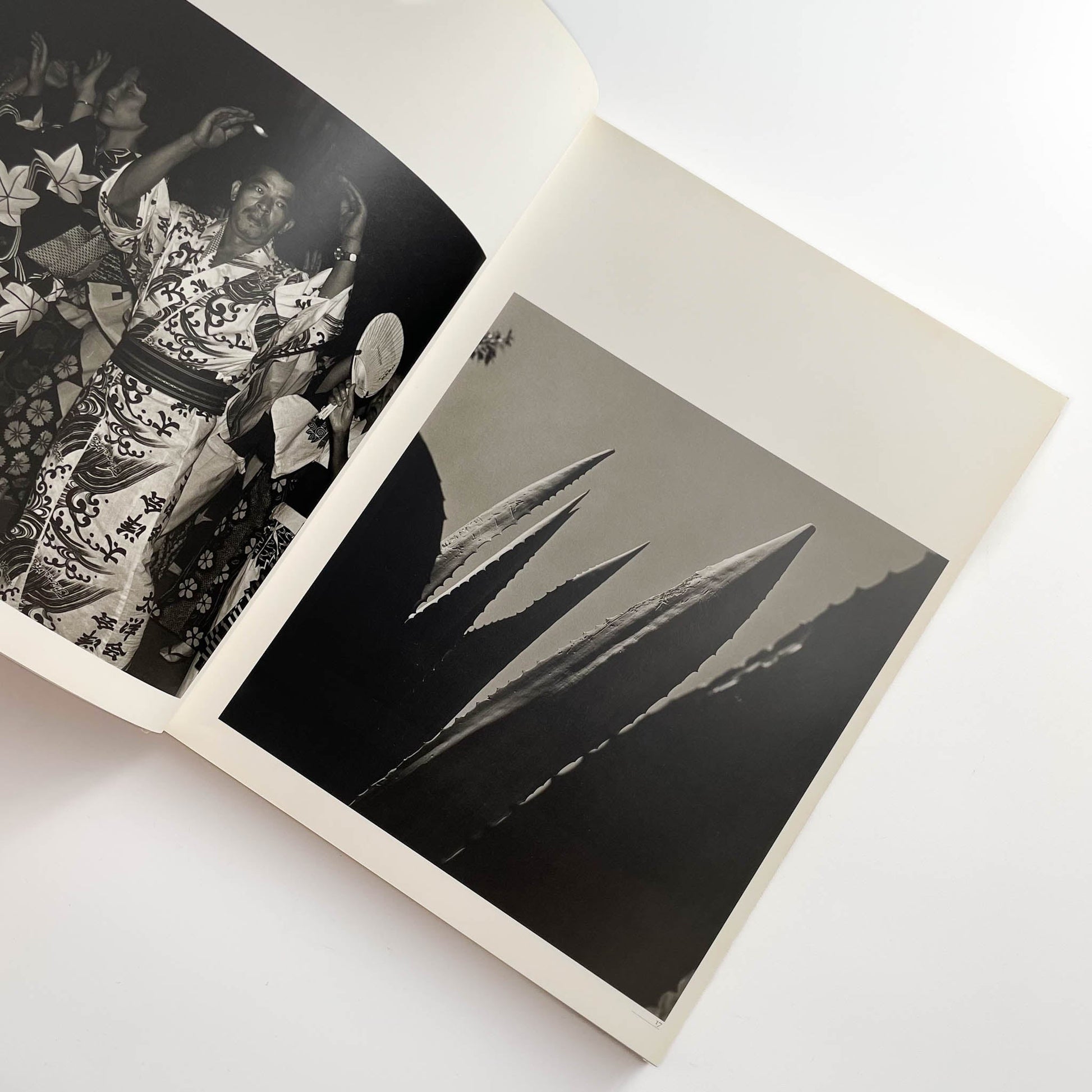 須田一政　人間の記憶 クレオ