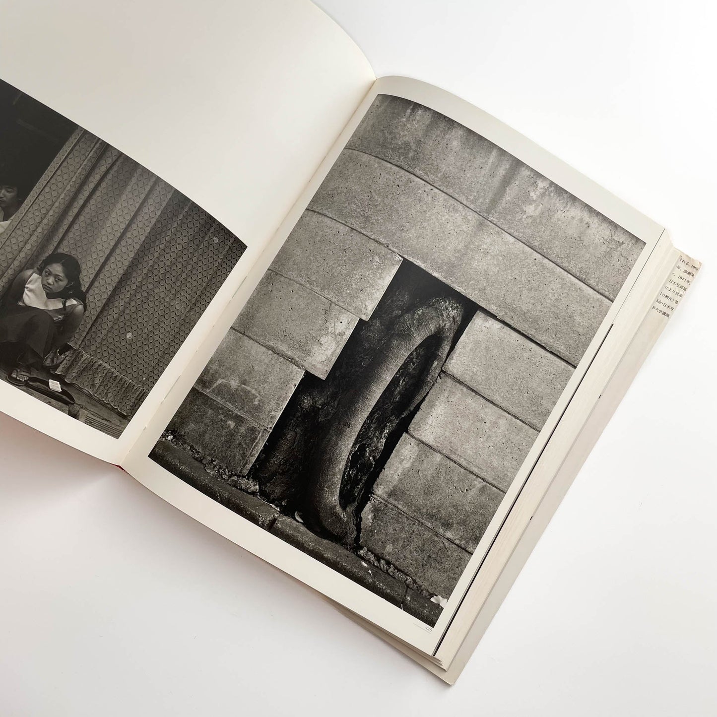 須田一政　人間の記憶 クレオ