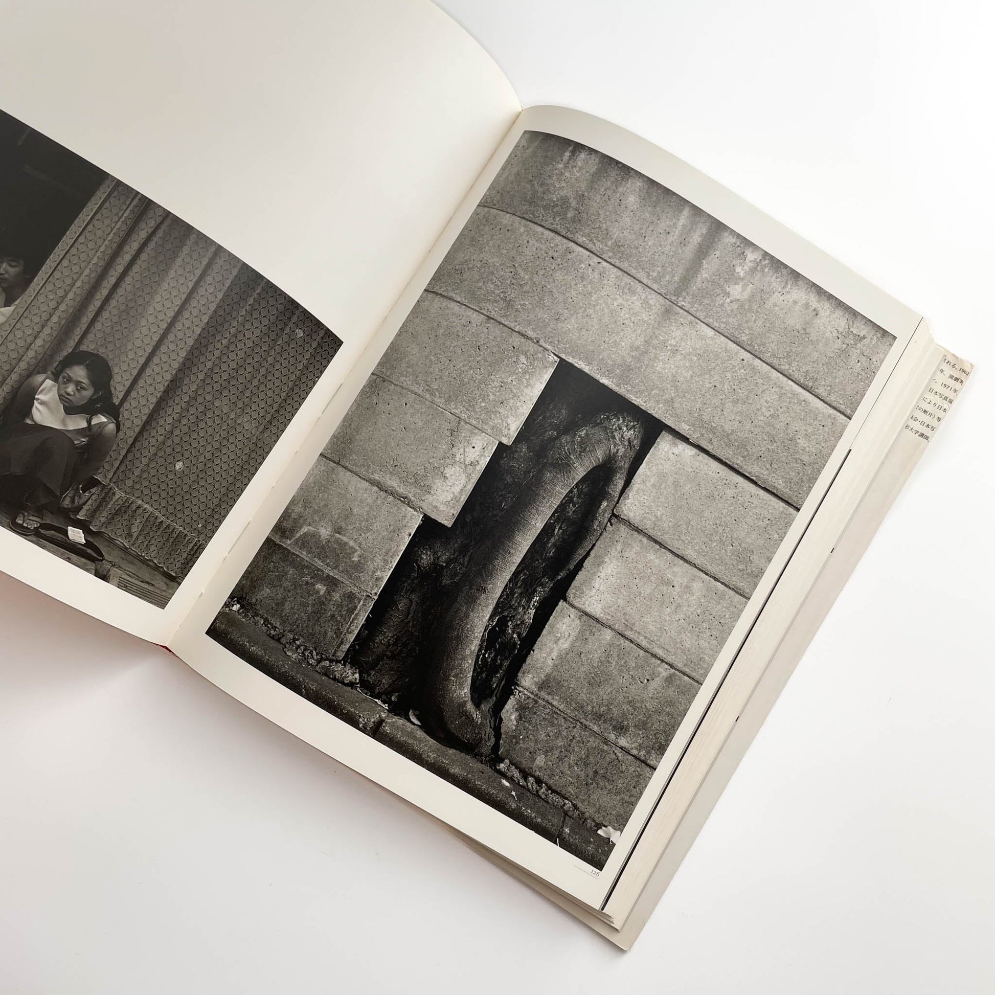 須田一政　人間の記憶 クレオ