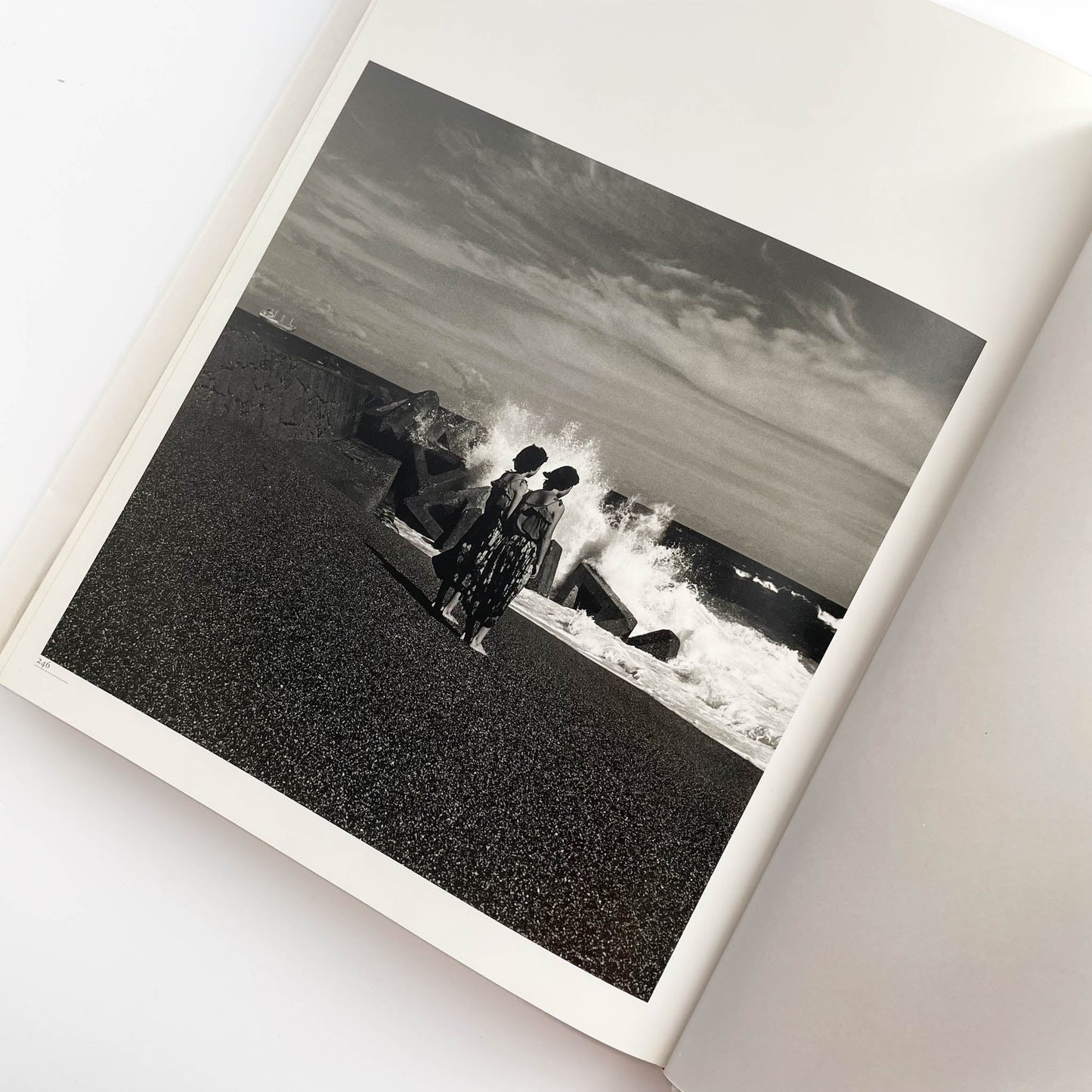 須田一政　人間の記憶 クレオ