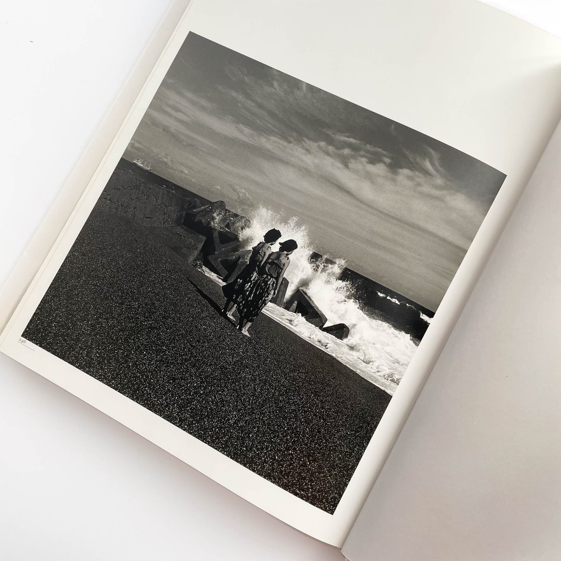 須田一政　人間の記憶 クレオ