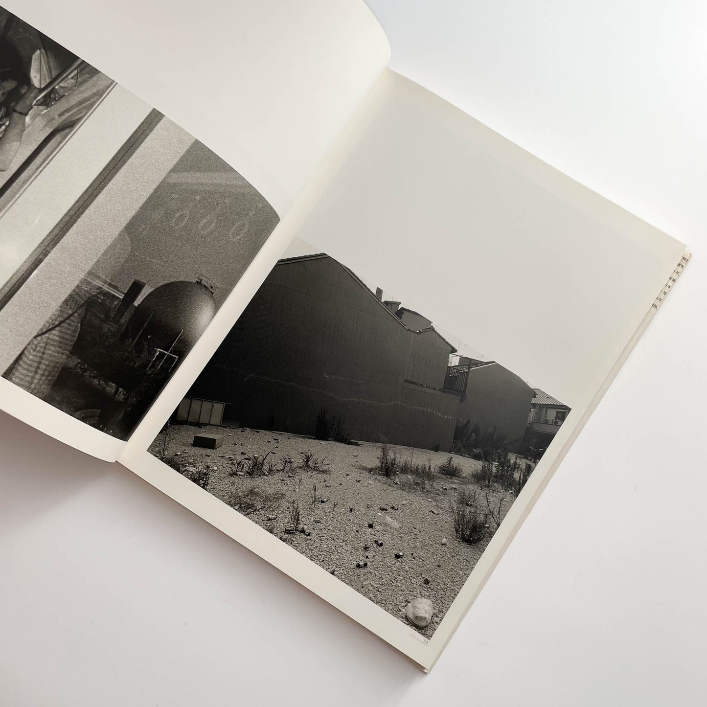 須田一政　人間の記憶 クレオ