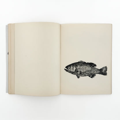永田一脩　魚拓 芸美出版社