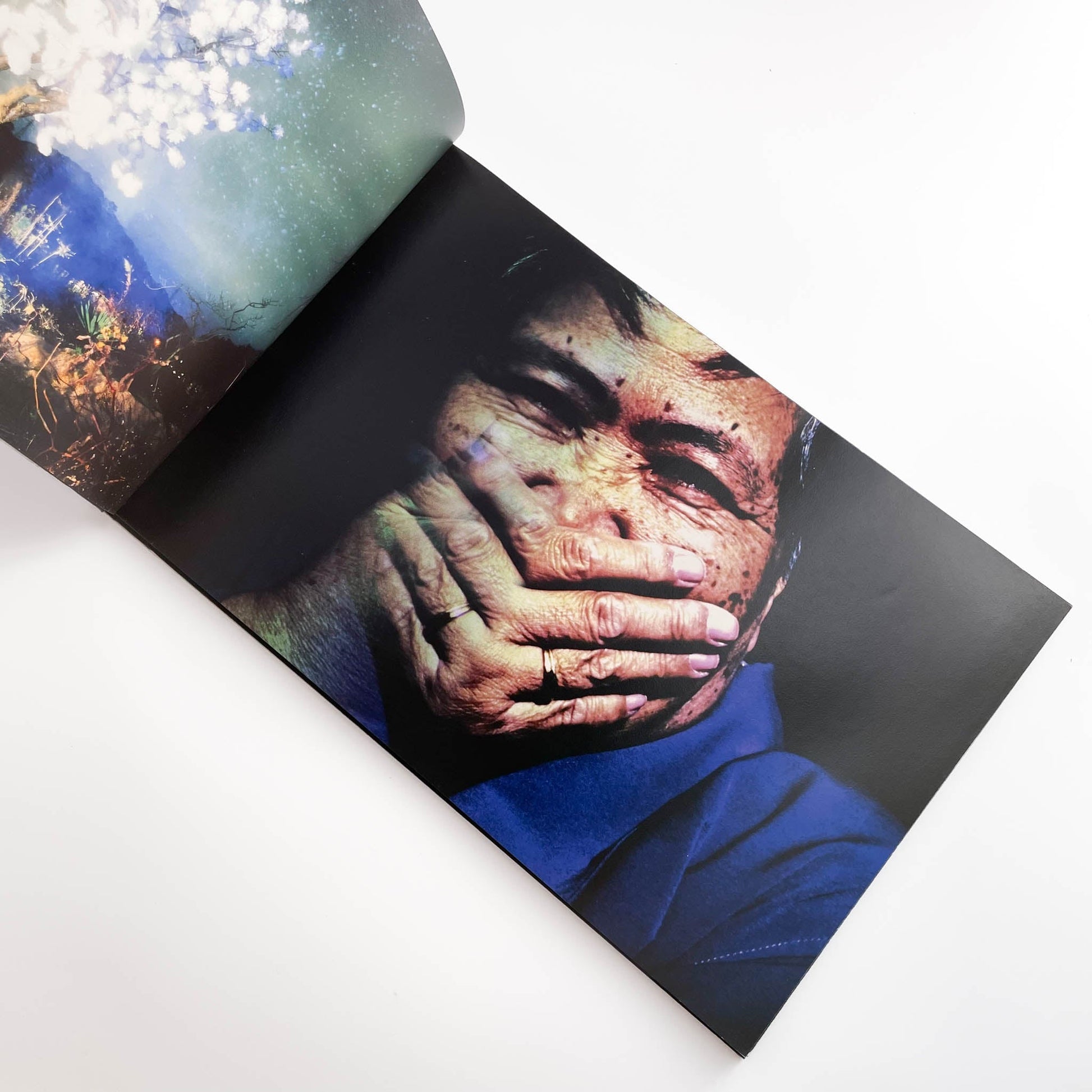 志賀理江子　カナリア　Canary 赤々舎