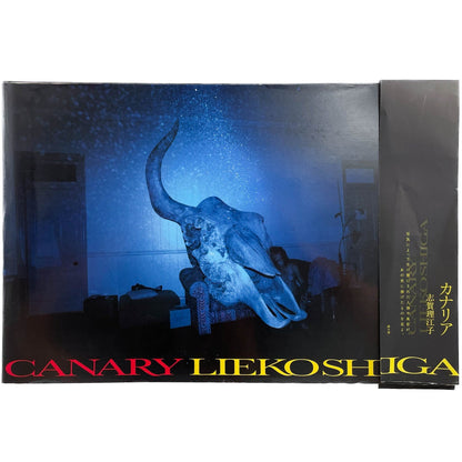 志賀理江子　カナリア　Canary 赤々舎