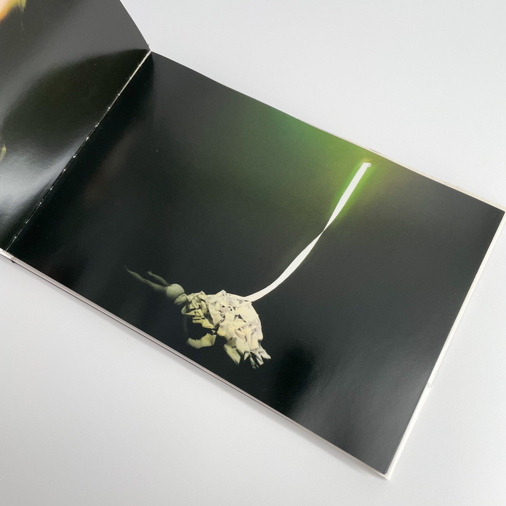 志賀理江子　Lilly - アートビートパブリッシャーズ - 文福