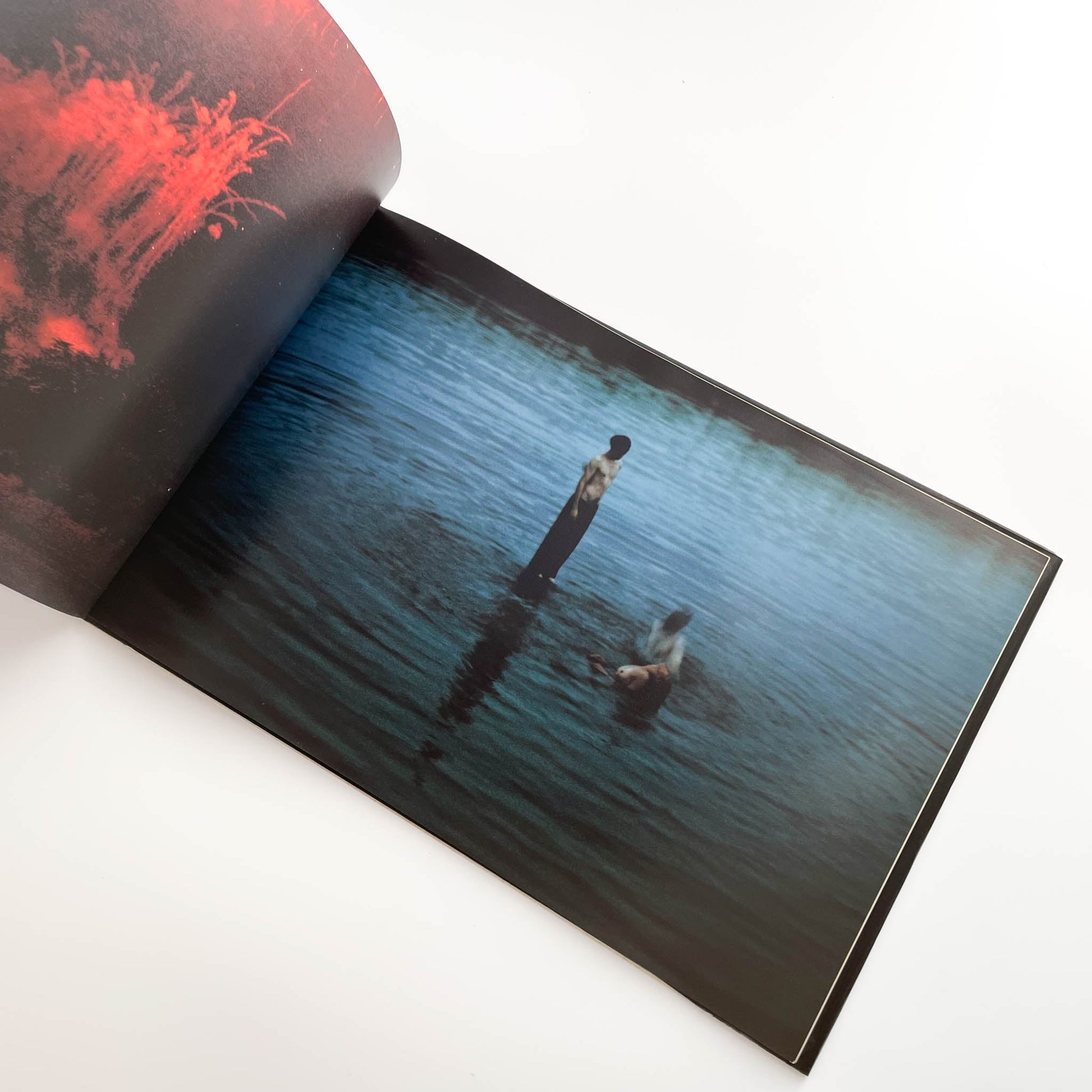 志賀理江子　カナリア　Canary 赤々舎