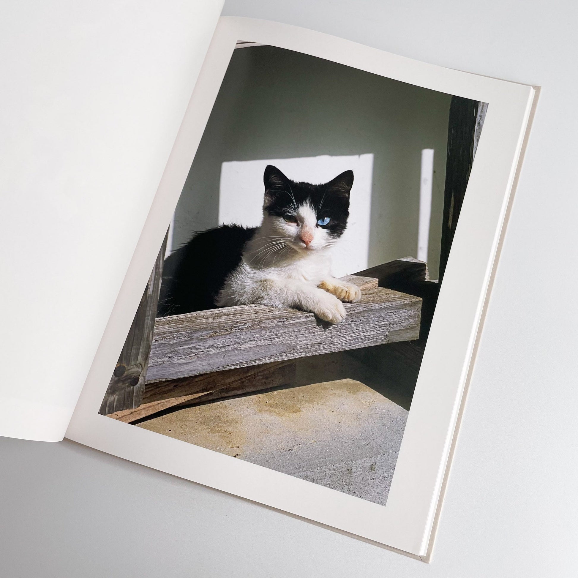 中平卓馬　沖縄 ラットホールギャラリー