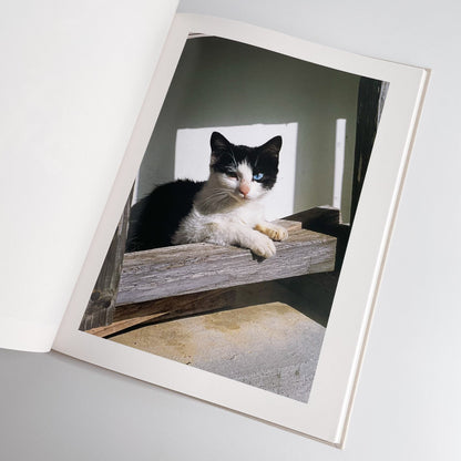 中平卓馬　沖縄 ラットホールギャラリー