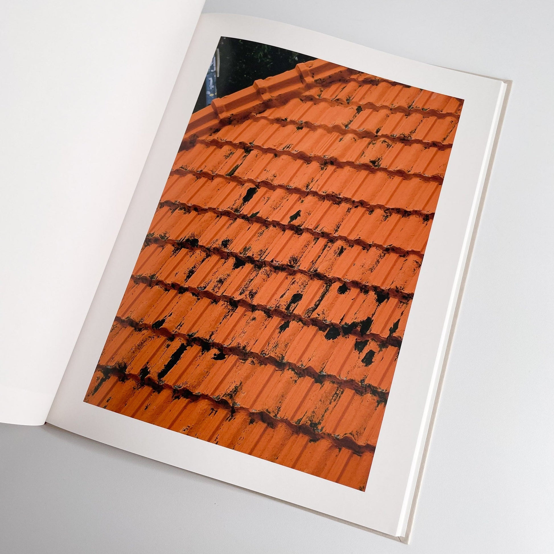 中平卓馬　沖縄 ラットホールギャラリー