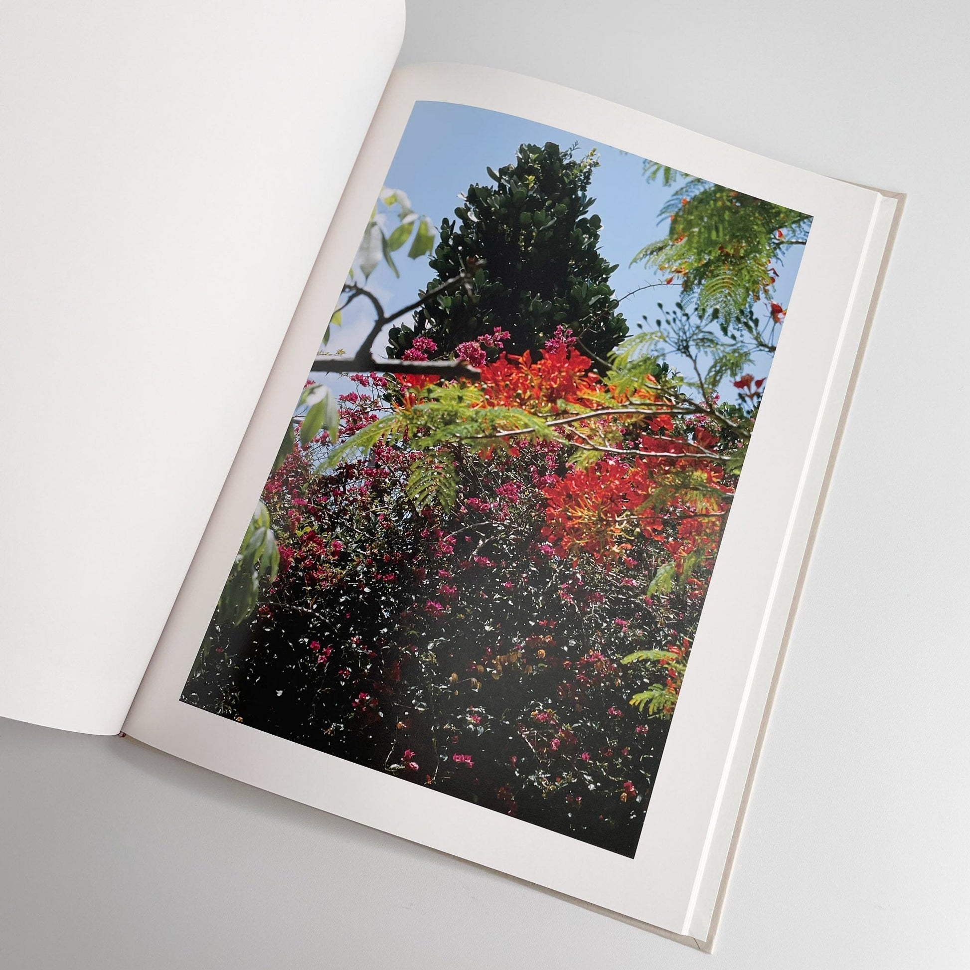 中平卓馬　沖縄 ラットホールギャラリー