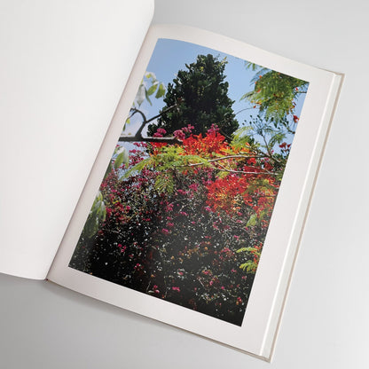 中平卓馬　沖縄 ラットホールギャラリー