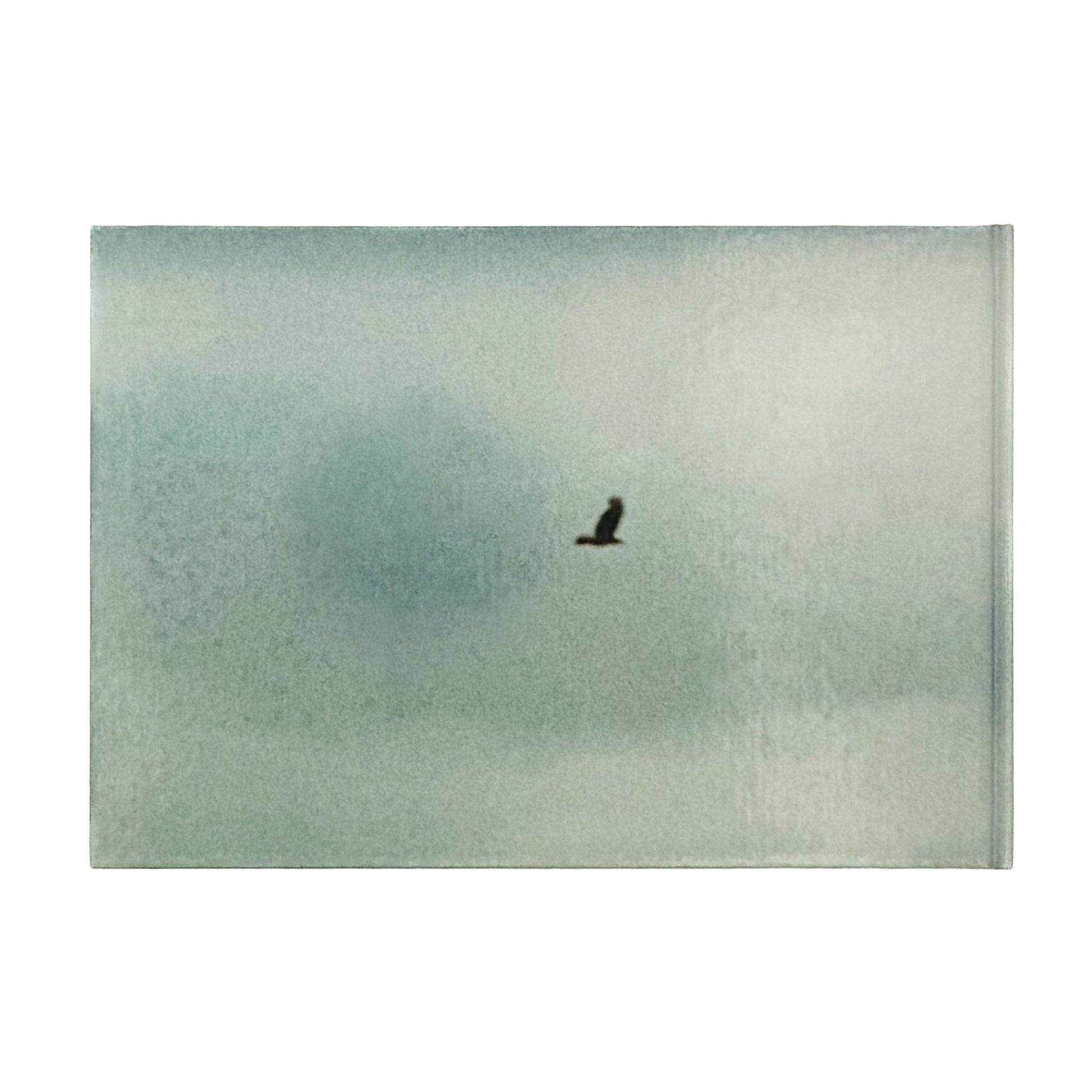 畠山直哉　A BIRD, BLAST #130 Taka Isii Gallery