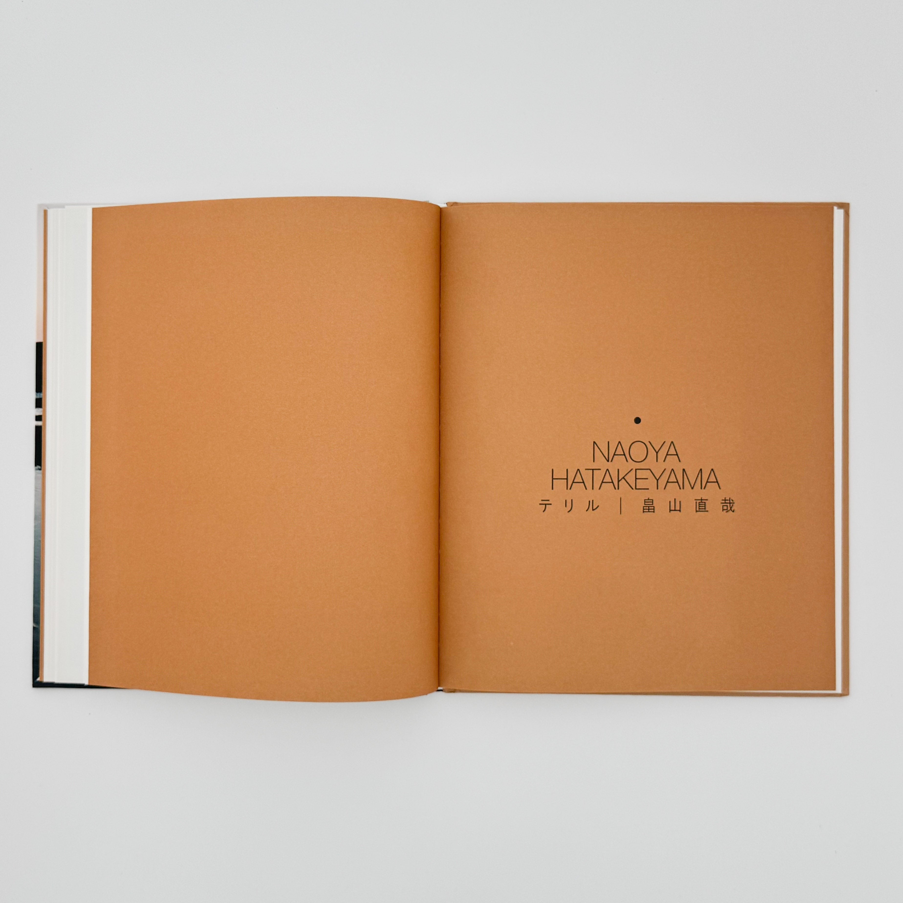 仏文) 畠山直哉写真集 TERRILS – 文福